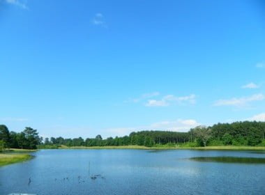 435 acres in Shelby County