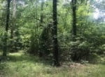 44 acres in Red River County