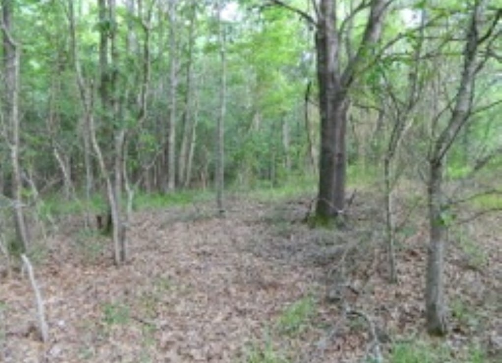66 acres in Red River County