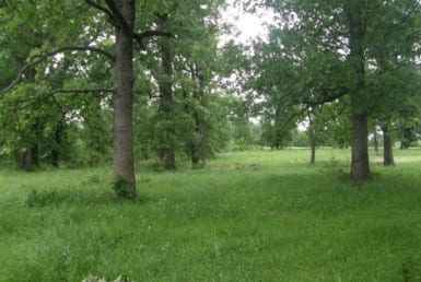 327 acres in Red River County