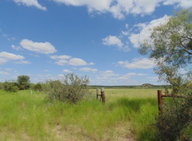 106 acres in Coleman County