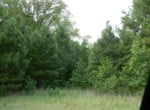 16 acres in Cass County
