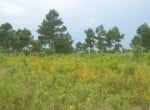 83 acres in Red River County