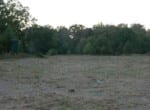103 acres in Bowie County