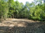72.1 acres in Red River County