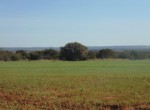 112 acres in Taylor County