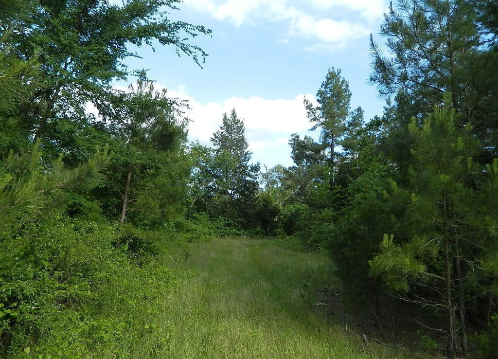 11 acres in Bowie County
