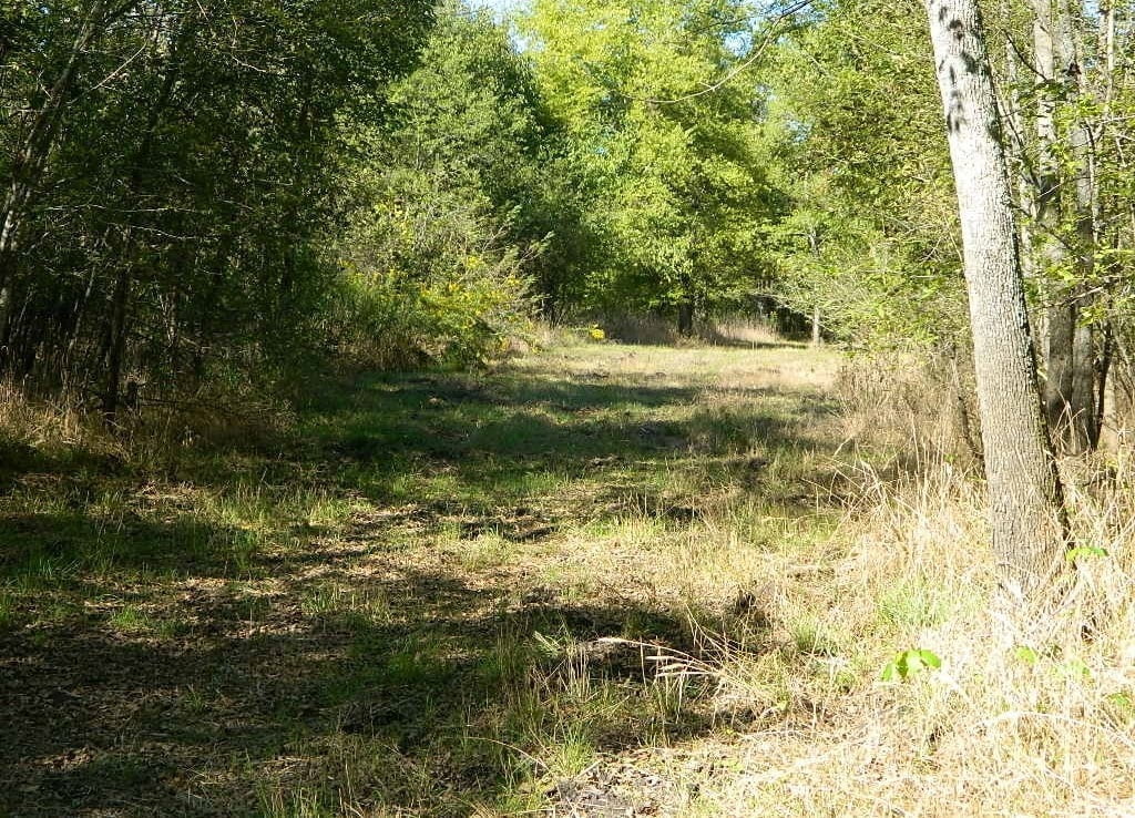 60 acres in Red River County