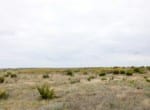 150 acres in Runnels County
