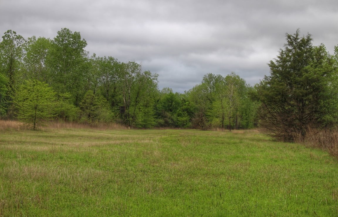 821 acres in McCurtain County, Oklahoma