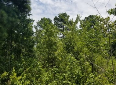 2 acres in Bowie County