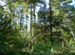 126.55 acres in Wood County