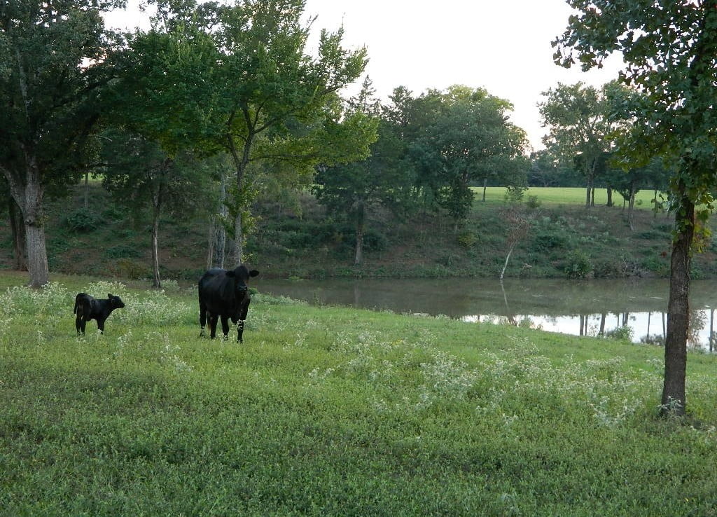 150 acres in Cherokee County