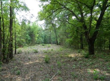 49 acres in Titus County