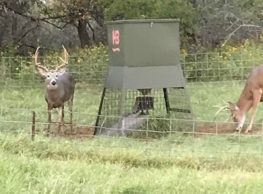 79 acres in Wilbarger County