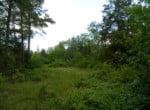 25 acres in Bowie County