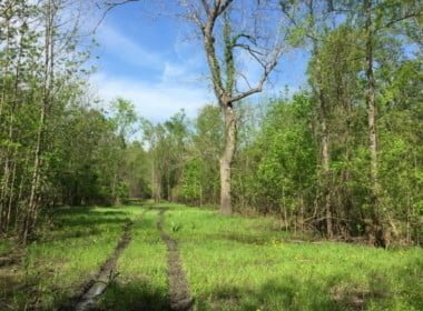 66 acres in Red River County