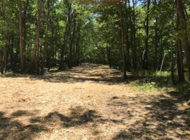 62 acres in Red River County