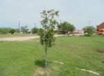 Two Residential Lots in Taylor County