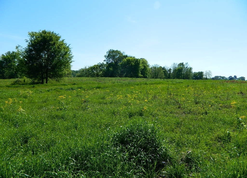 208 acres in Cass County