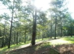 3 acres in McCurtain County