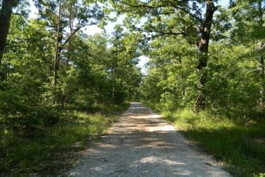 36.8 acres in Red River County