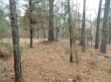 19 acres in Red River County