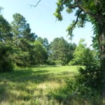 126.55 acres in Wood County
