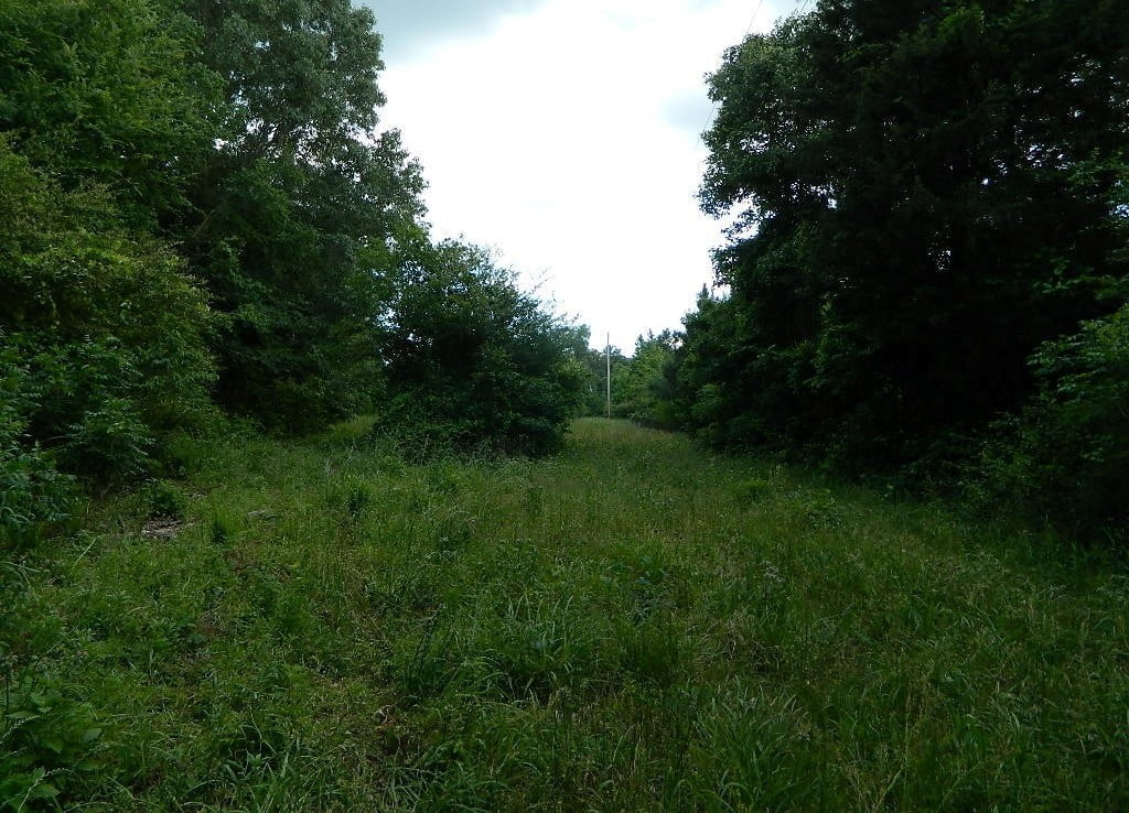 25 acres in Bowie County