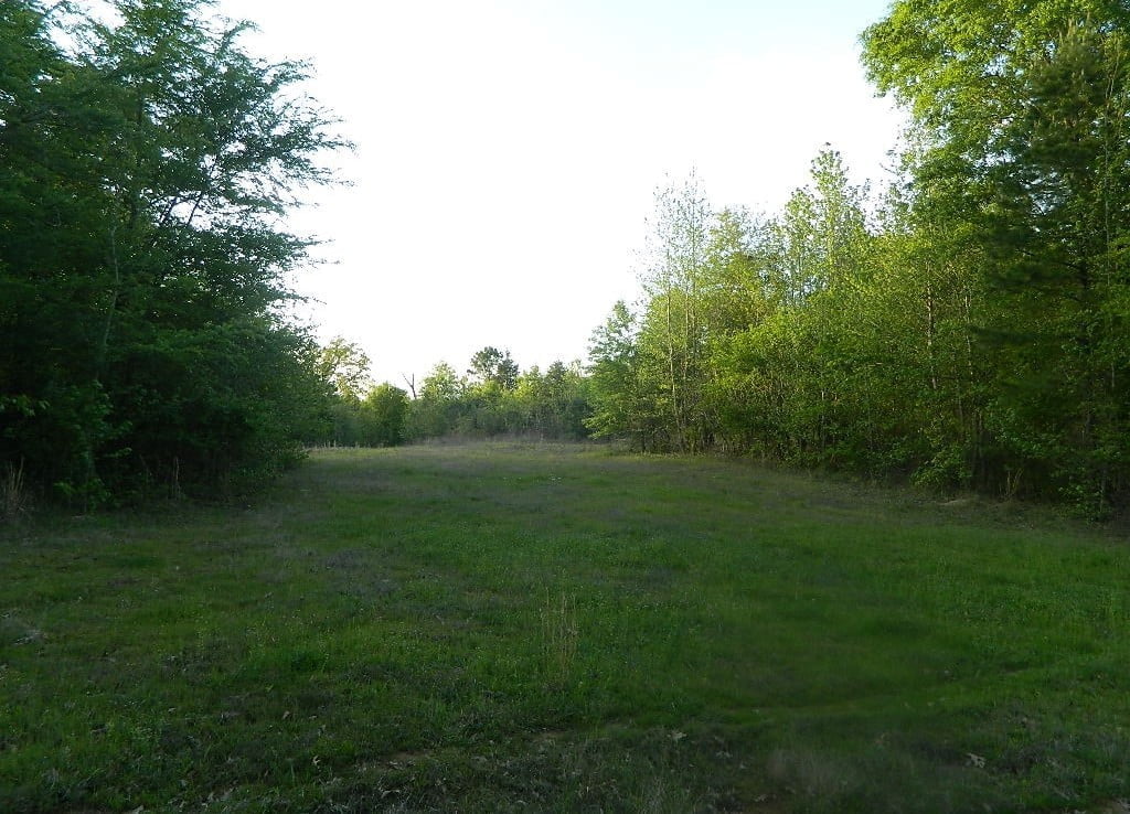 77 acres in Titus County
