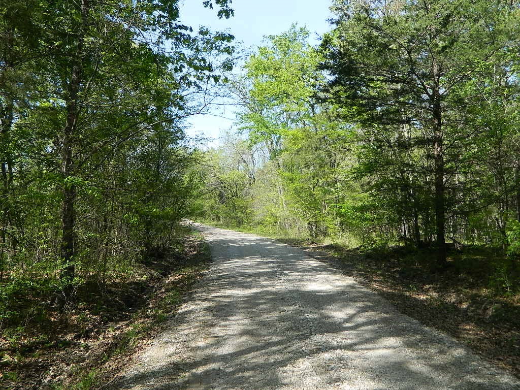 40 acres in Red River County Texas for Sale