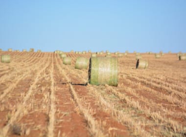 656 acres in Bailey County