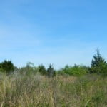 33 acres in Red River County