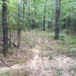 59 acres in Red River County