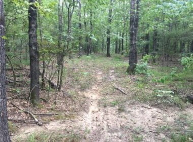 59 acres in Red River County