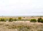 150 acres in Runnels County