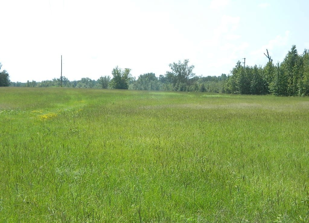 201 acres in Titus County