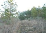 19 acres in Red River County
