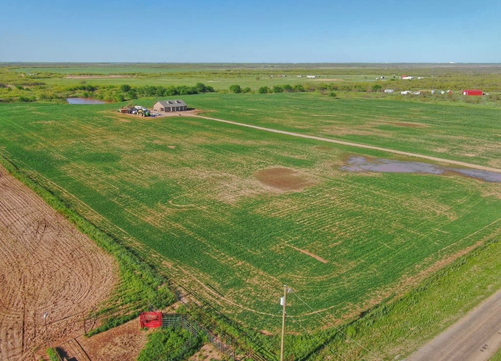 30 acres in Wichita County
