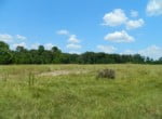 204 acres in Red River County