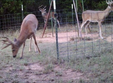 32 acres in Young County