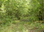 46 acres in Red River County