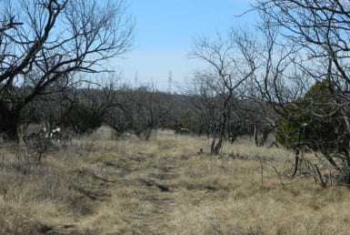 188 acres in Jack County