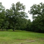 90 acres in Red River County