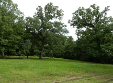 90 acres in Red River County