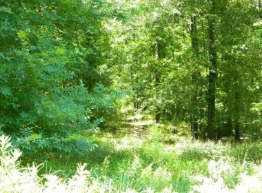 60 acres in Red River County