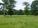 907 acres in Red River County