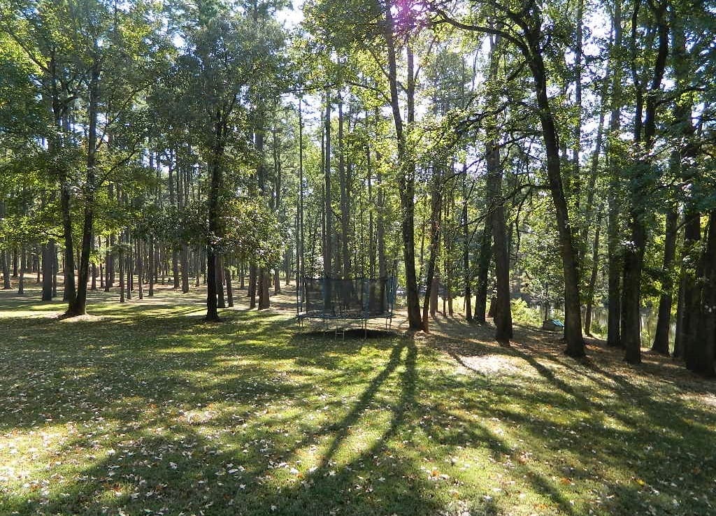 124 acres in Upshur County