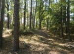 124 acres in Upshur County