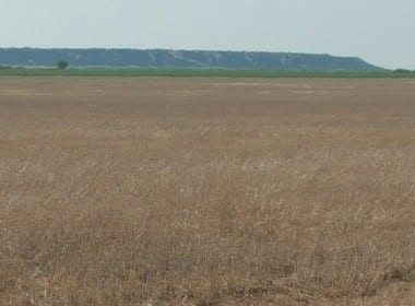 184 acres in Morris County